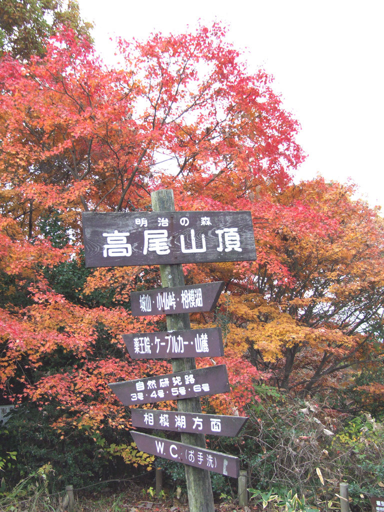 2006TakaosanKoyo_03[1] Thắng cảnh núi Takao – Nhật Bản Ngắm lá đỏ momizi núi Takao – Nhật Bản 2006TakaosanKoyo 031 768x1024