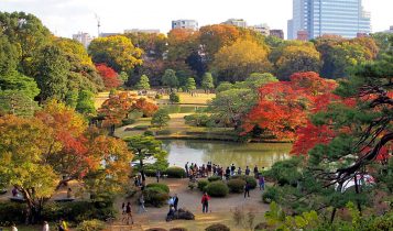địa điểm ngắm lá đỏ 8 địa điểm ngắm lá đỏ được yêu thích nhất khu vực Tokyo và Kanagawa l 1 357x210
