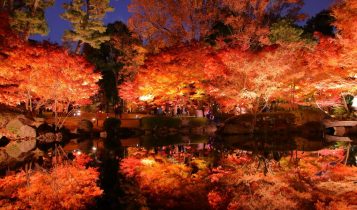 địa điểm ngắm lá đỏ 8 địa điểm ngắm lá đỏ được yêu thích nhất khu vực Tokyo và Kanagawa l 4a 357x210