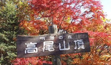 địa điểm ngắm lá đỏ 8 địa điểm ngắm lá đỏ được yêu thích nhất khu vực Tokyo và Kanagawa l         5 357x210