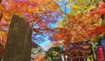 địa điểm ngắm lá đỏ 8 địa điểm ngắm lá đỏ được yêu thích nhất khu vực Tokyo và Kanagawa l         5a 357x210