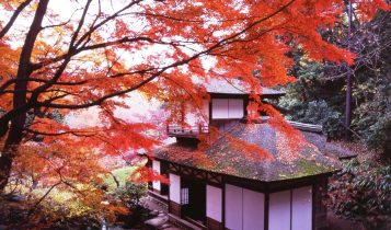 địa điểm ngắm lá đỏ 8 địa điểm ngắm lá đỏ được yêu thích nhất khu vực Tokyo và Kanagawa l         6 357x210