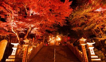 địa điểm ngắm lá đỏ 8 địa điểm ngắm lá đỏ được yêu thích nhất khu vực Tokyo và Kanagawa l         8 357x210