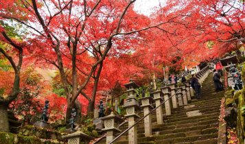 địa điểm ngắm lá đỏ 8 địa điểm ngắm lá đỏ được yêu thích nhất khu vực Tokyo và Kanagawa l         8a 357x210